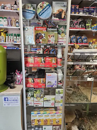 Sklep Zoologiczny KIKI